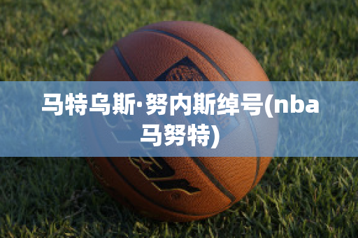 马特乌斯·努内斯绰号(nba马努特)