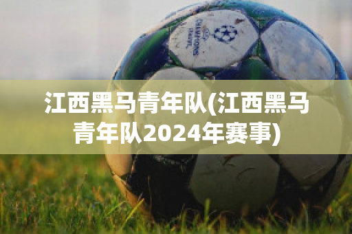 江西黑马青年队(江西黑马青年队2024年赛事)