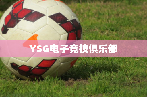 YSG电子竞技俱乐部