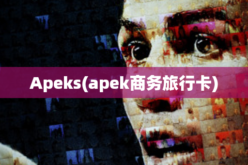 Apeks(apek商务旅行卡)