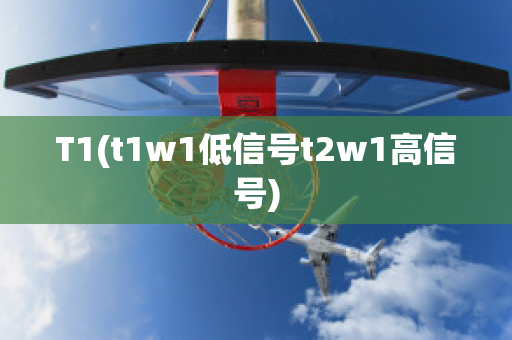 T1(t1w1低信号t2w1高信号)