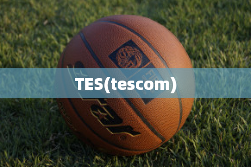 TES(tescom)