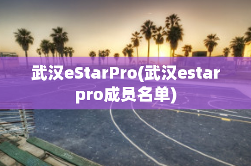 武汉eStarPro(武汉estarpro成员名单)