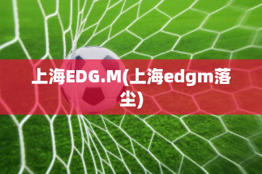 上海EDG.M(上海edgm落尘)