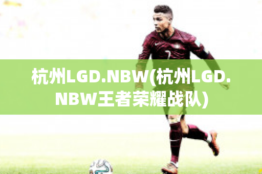 杭州LGD.NBW(杭州LGD.NBW王者荣耀战队)