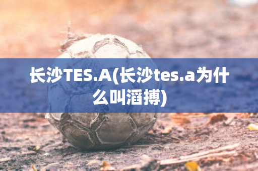 长沙TES.A(长沙tes.a为什么叫滔搏)