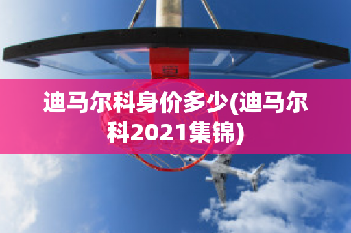 迪马尔科身价多少(迪马尔科2021集锦)