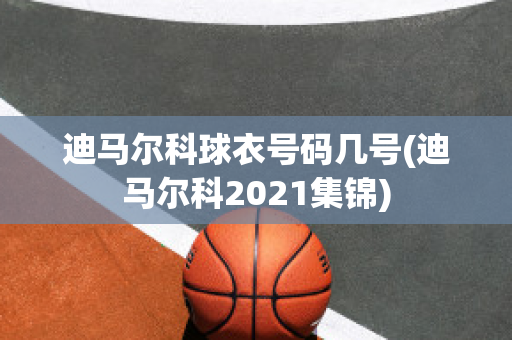 迪马尔科球衣号码几号(迪马尔科2021集锦)