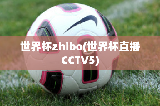 世界杯zhibo(世界杯直播CCTV5)