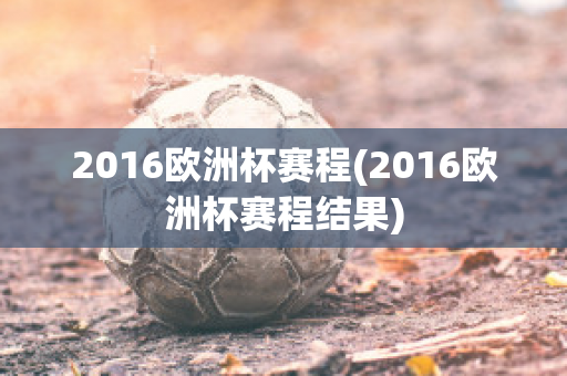 2016欧洲杯赛程(2016欧洲杯赛程结果)