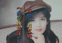 周慧敏1994演唱会:周慧敏1994演唱会痴心换情深