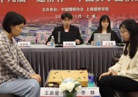 王晨星:王晨星围棋