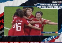 2007年女足世界杯:2007年女足世界杯在中国哪个城市举行