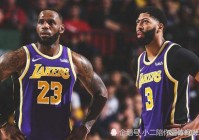 nba录像湖人vs热火:nba录像湖人对热火